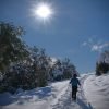 Raquetas de nieve, nivel I. Entorno a Somport